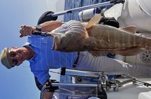 Private Half Day Fishing in Agios Nikolaos