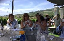 Private Wine Tasting With a Personal Touch at Award Winning Farms