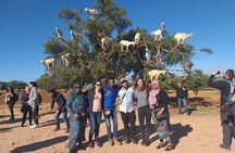 Morocco 11 Days Tour From Marrakech