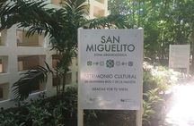 LDS Tour Cancun Mayan Museum & San Miguelito Archeological Site 