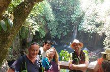 Full Day Private Tour to Puente de Dios and Tamasopo