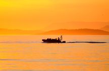 Sunset Whale and Wildlife Watching