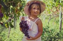 TASTE OF MONTENEGRO - Gastro Tour of Montenegrian Wine and food