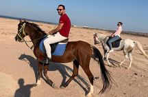 El Gouna Horse Ride Tour