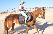 El Gouna Horse Ride Tour