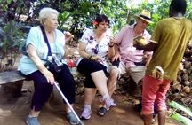 Private Full Day Trip to Stone Town, Spice Farms and Jozani Forest