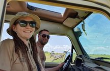 2 Days Mikumi National Park Safari From Dar es salaam or Zanzibar