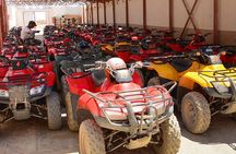 El Gouna Morning Quad bike Safari
