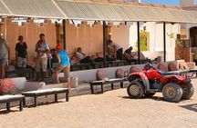 El Gouna Morning Quad bike Safari