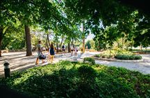 Private Full-Day Tour to Krka Waterfalls and Sibenik