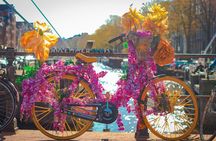 3-Hour Private Amsterdam Photography Tour of famous Landmarks