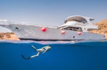 Snorkeling Day Trip to White Island and Ras Mohamed from Sharm
