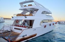 Snorkeling Day Trip to White Island and Ras Mohamed from Sharm