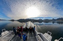 Navigation in the Beagle Channel with minitrekking USHUAIA