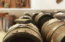 5-Hour Food and Wine Tasting in Modena