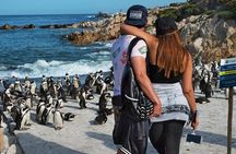 Cape of Good Hope-Cape Point - Penguins Private Tour Cape Town