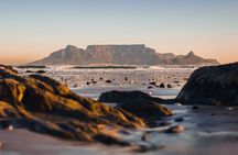 Cape of Good Hope-Cape Point - Penguins Private Tour Cape Town