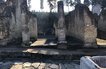 Herculaneum - Small Group Tour