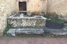Herculaneum - Small Group Tour
