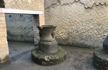 Herculaneum - Small Group Tour