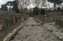 Pompeii - Private Tour (skip-the-line admission included)