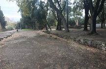 Pompeii - Private Tour (skip-the-line admission included)