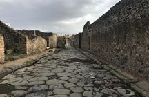 Pompeii - Private Tour (skip-the-line admission included)