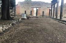 Pompeii Small Group Guided Tour with Skip-the-line Admission