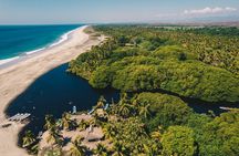 Wildlife Eco Tour on the coast of Oaxaca.