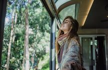 Cusco: First Class train to Machu Picchu fullday tour