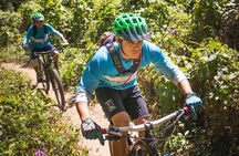 SINGLETRACK MOUNTAIN BIKE - Guided through the jungle