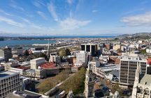 Cruise Dunedin City and Castle Tour