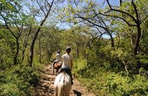 5-in-1 Rincon de la Vieja National Park Buena Vista Eco Adventure Day Tour