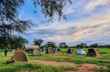 10 Days-Tanzania Group Safari and Beach Tours