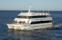 Port Stephens + Whale Watching + 4WD/Sandboarding ex Sydney