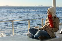 Port Stephens + Whale Watching + 4WD/Sandboarding ex Sydney