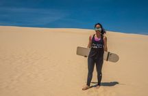 Port Stephens + Whale Watching + 4WD/Sandboarding ex Sydney