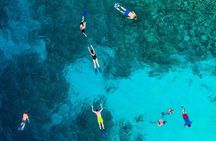 MIAMI: Key West Dolphin Watch Tour and other options