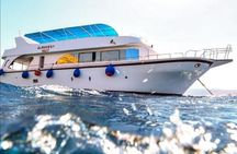 Take advantage of a half-day boat dive experience in Red sea of Aqaba.