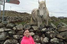 Chauffeur Driven Tour of Beautiful County Wicklow 