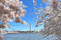 Private & Customizable Tour of Washington DC