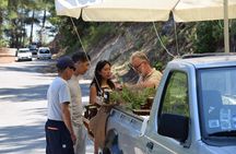Private Tour in Lindos 