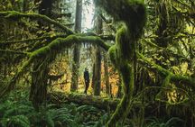 Olympic Full Day Private Tour and Hike