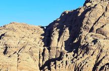 Full Day Jeep and Camel Tour