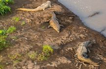 Palo Verde River Boat Trip 