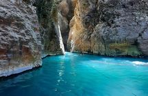 Hike to Rincon de Vieja National Park and La Leona Waterfall 
