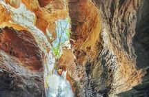 Hike to Rincon de Vieja National Park and La Leona Waterfall 