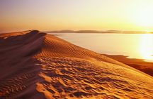 Desert Safari and Inland Sea(Private Tour)