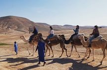 Agafay Desert Sunset Camel Ride with dinner and show from Marrakech
