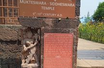Bhubaneshwar city tour in a private car with professional guide
